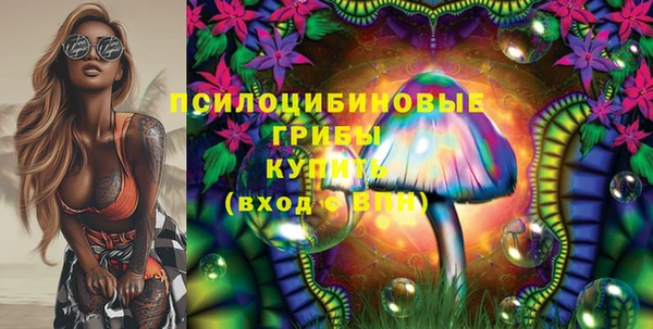 не бодяженный Алексин