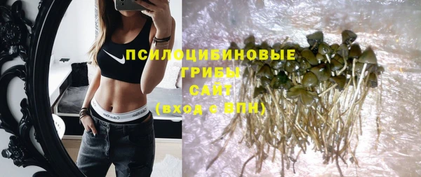 не бодяженный Алексин