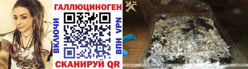 Галлюциногенные грибы GOLDEN TEACHER  сколько стоит  ОМГ ОМГ зеркало  Катайск 